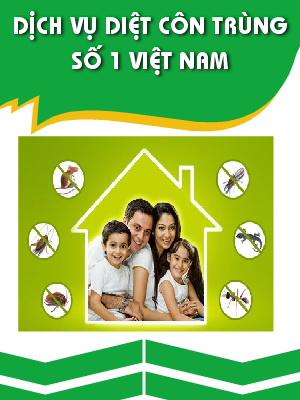 diệt côn trùng