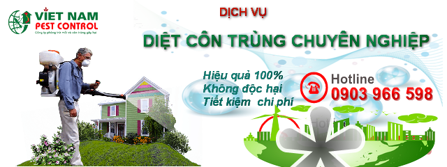 diệt côn trùng
