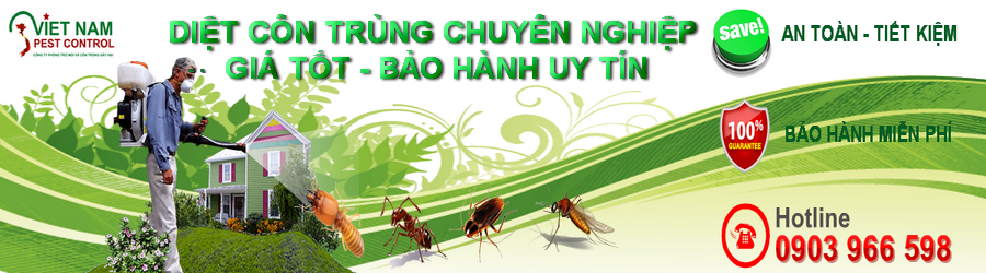 diệt côn trùng